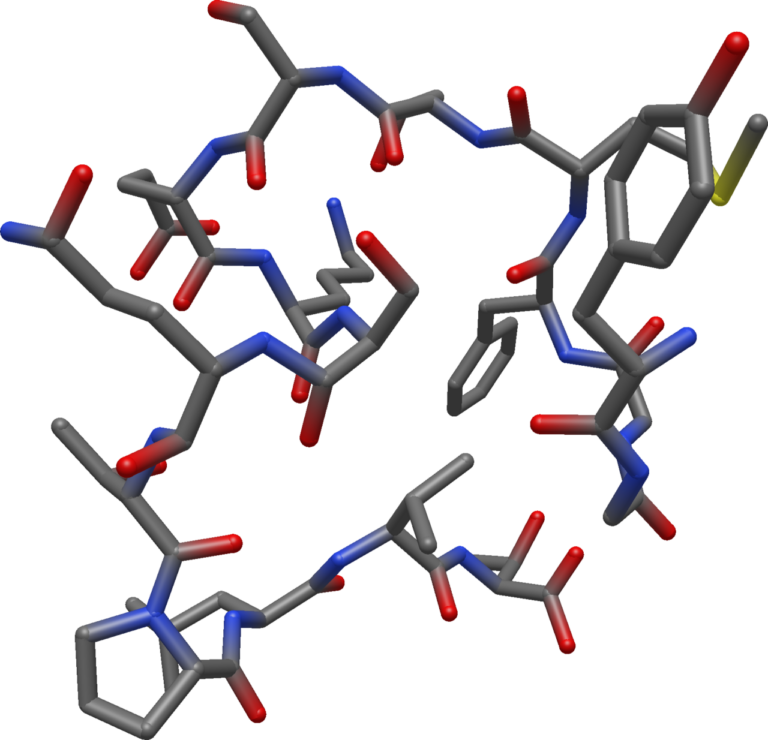 Stick molecular model of a peptide