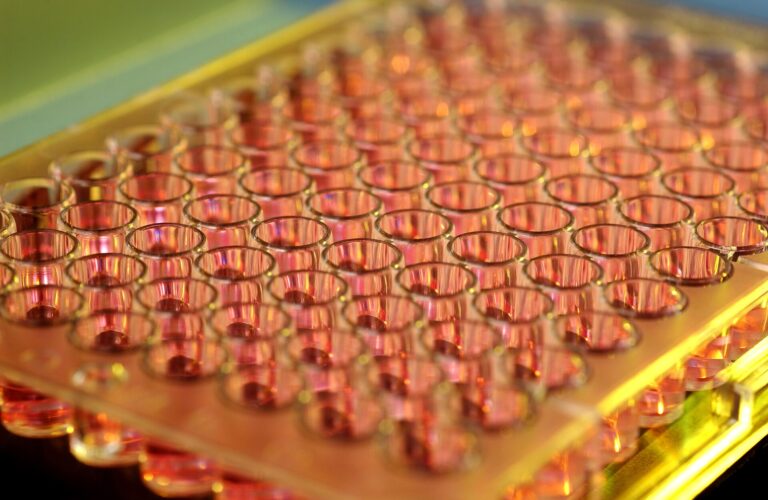 A laboratory multiwell plate holding liquid samples