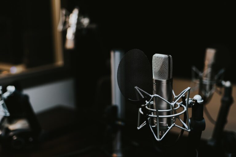 A studio condenser microphone
