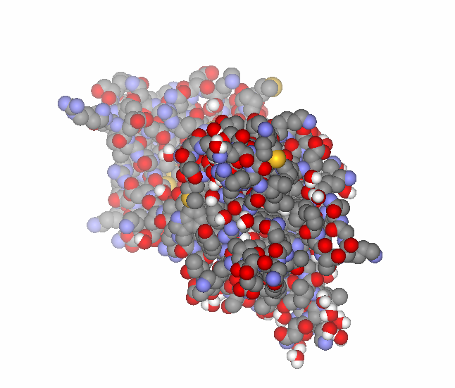 Semax: A Research Guide to the ACTH(4-10) Analogue