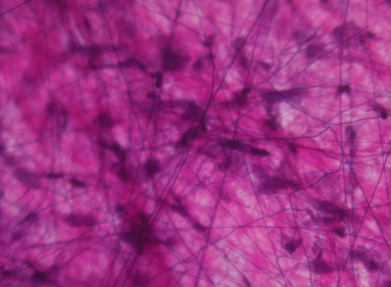 Tissue-Repair Peptides, Explained: BPC-157, TB-500, GHK-Cu and KPV