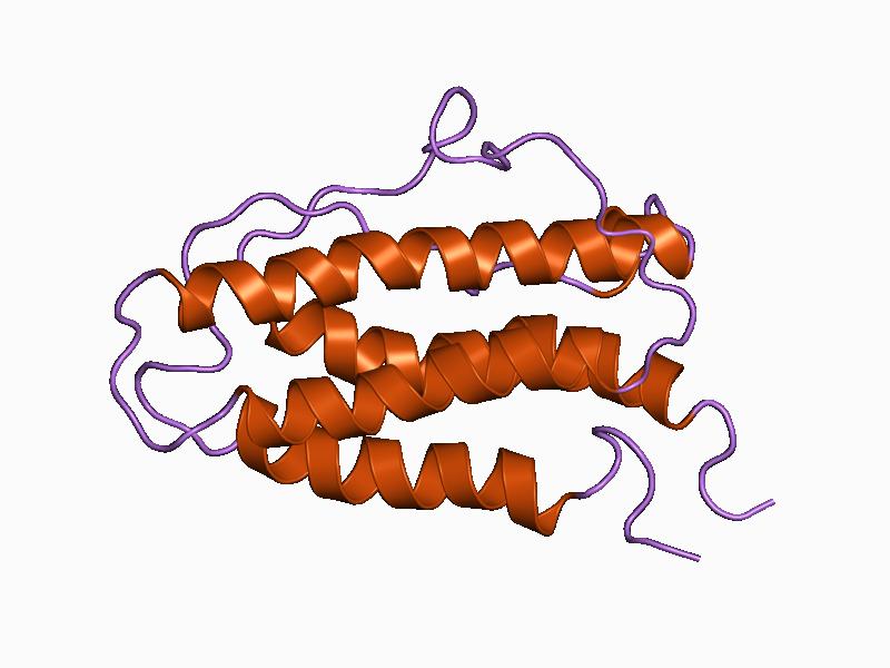 ARA-290: The Peptide That Tried to Split Erythropoietin in Two