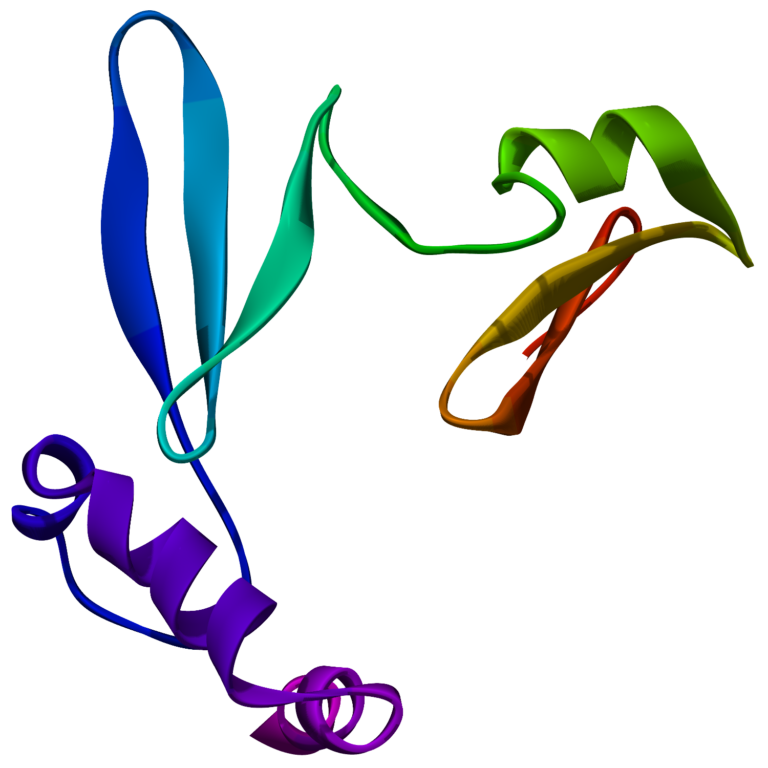 Ipamorelin: A Research Guide to the Selective GH Secretagogue