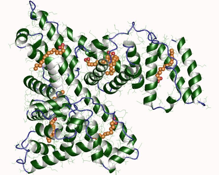 CJC-1295 DAC vs CJC-1295 (no DAC / Modified GRF 1-29): What the “DAC” Actually Changes