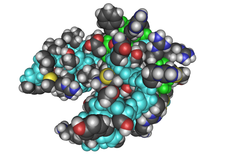 What Is IGF-1 LR3? The Growth Factor Engineered to Outlast Its Own Brakes