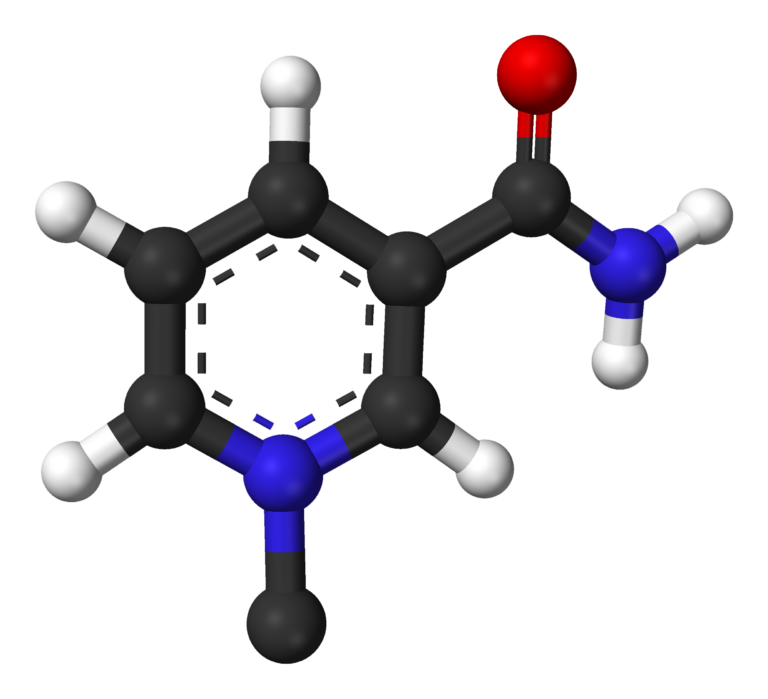 NAD+, NMN and NR: What the Human Evidence Really Says