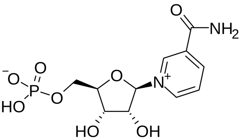 What Is NMN (&beta;-Nicotinamide Mononucleotide)? The Longevity World’s Headline Bet