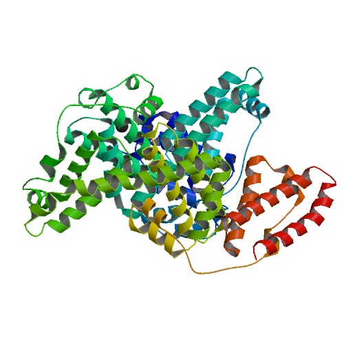 CJC-1295: A Long Half-Life Built on a Single Study