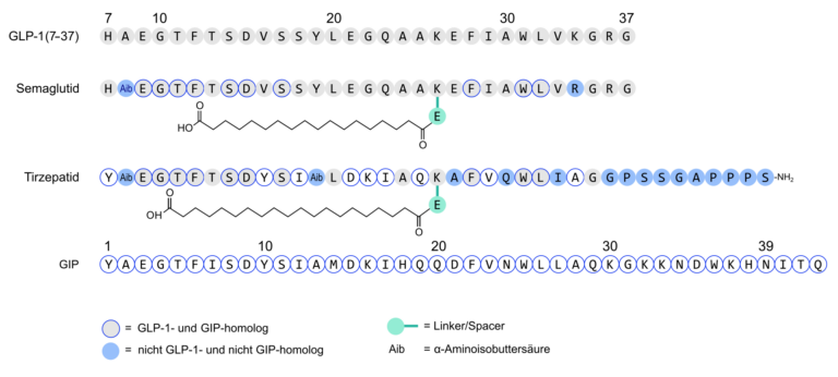 Two Hormones, One Vial: The Tirzepatide Evidence, Read Honestly