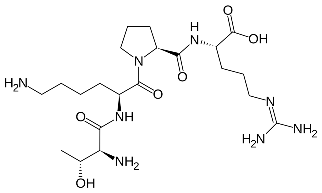 Selank: A Research Guide to the Tuftsin Analogue