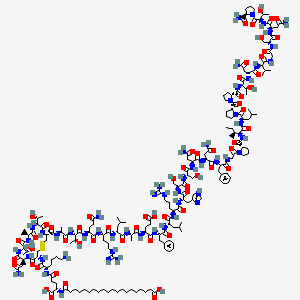 What Is Cagrilintide? The Long-Acting Amylin Analogue