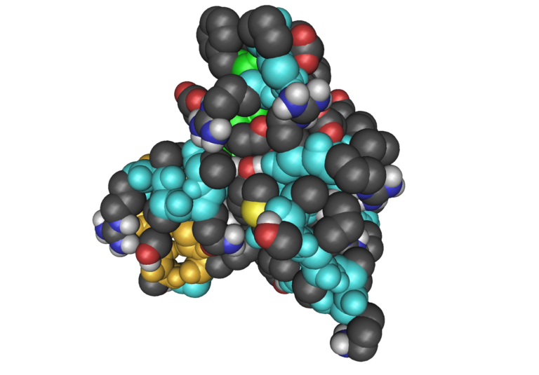 NMR structure of insulin-like growth factor 1