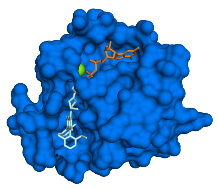Structure of the KRAS G12C mutant protein bound to GDP and sotorasib
