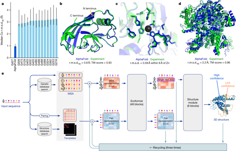 Diagram of the AlphaFold 2 protein structure prediction architecture