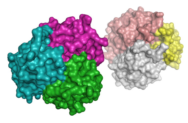 What Is ALY688? The Peptide Built to Get Around Adiponectin’s Manufacturing Problem