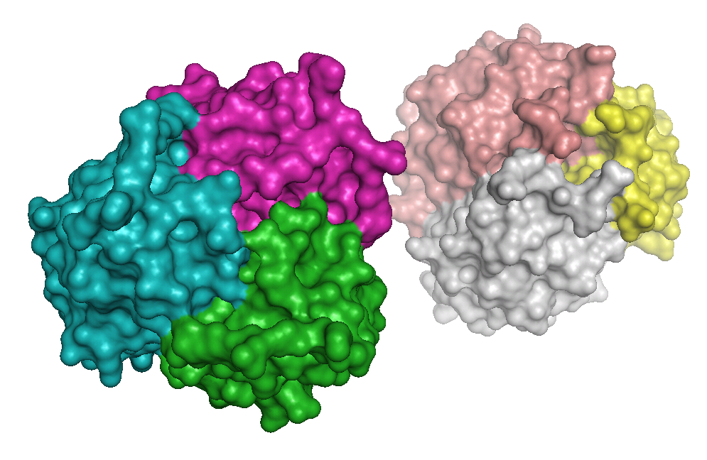 What Is ALY688? The Peptide Built to Get Around Adiponectin’s Manufacturing Problem