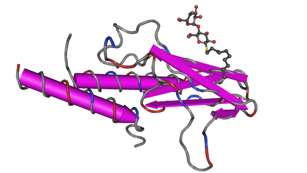 Ecnoglutide: A cAMP-Biased GLP-1 Agonist Approved in China, Not Yet in Europe or the US