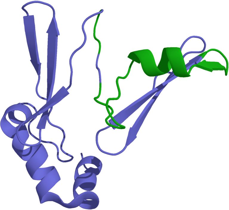 What Is MK-777 (“Acetamoren”)? A Search for a Compound That Has No Dossier